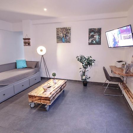 Appartement Calme Et Spacieux, Cite Et Ville A Pied, Wifi, 2 Chambres, 3 Lits Καρκασόν Εξωτερικό φωτογραφία